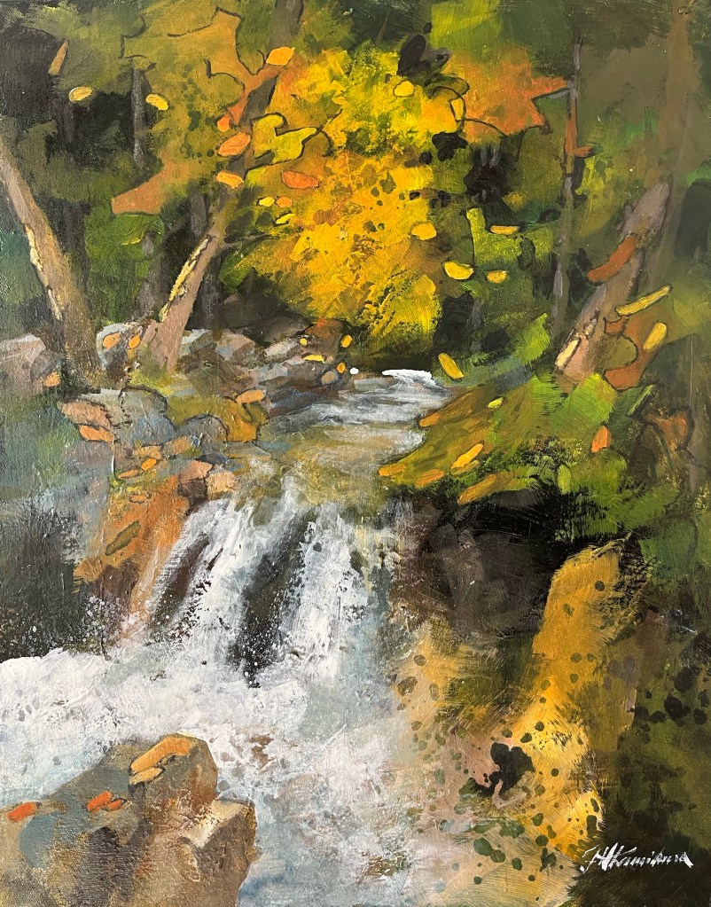 waterfall from deep woods